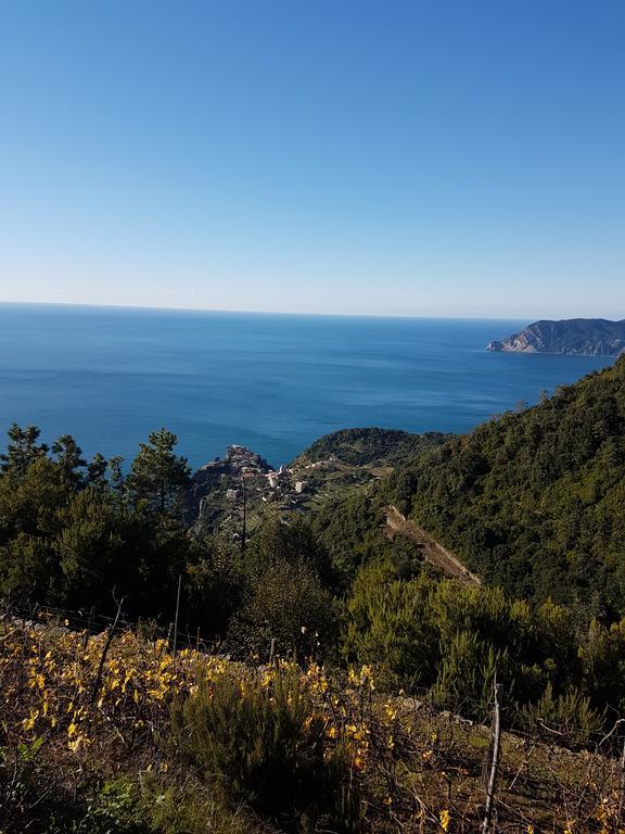 Affittacamere Il Timone Corniglia Exterior photo