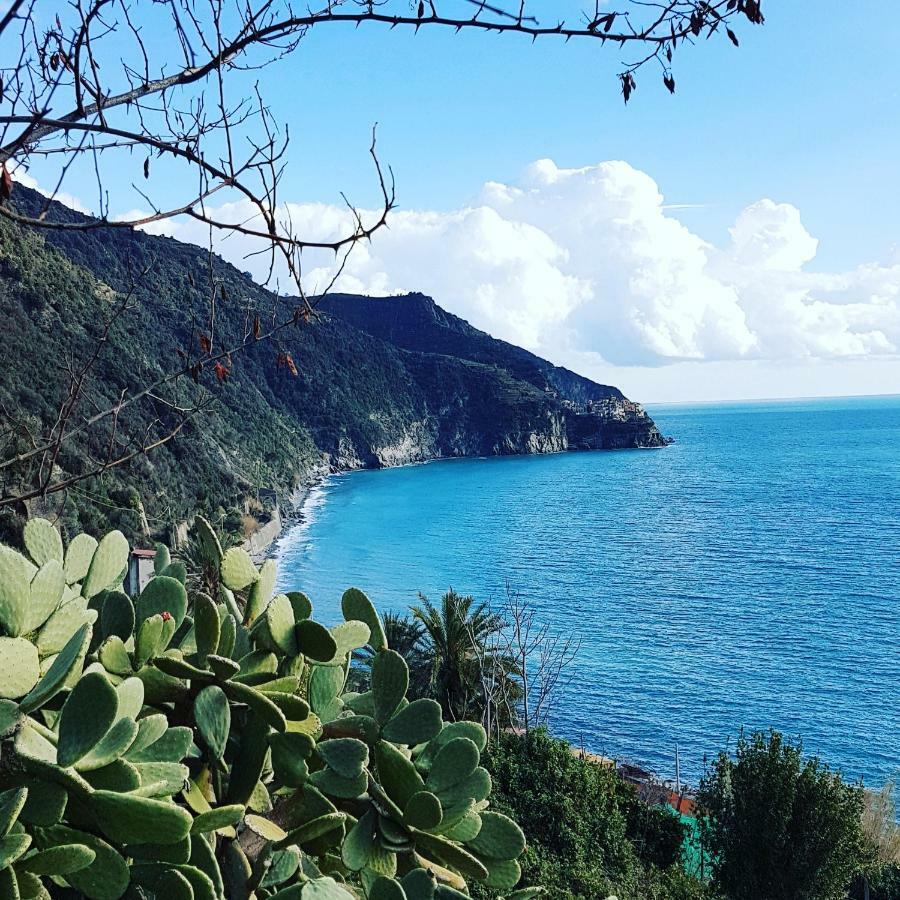 Affittacamere Il Timone Corniglia Exterior photo